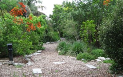Key West Zen- My favorite place to chill