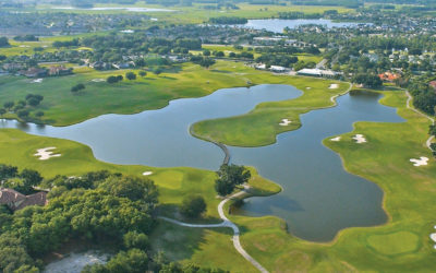 Off the Rock – Tampa’s Fox Hollow Golf Course
