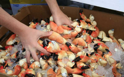 Feast Your Eyes on the Marathon Seafood Festival