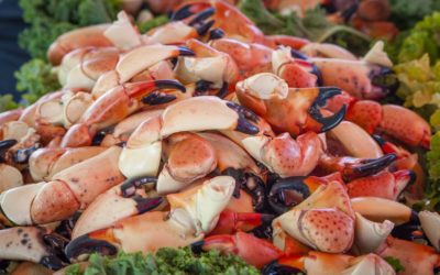 Bring a Big Appetite!  Original Marathon Seafood Festival