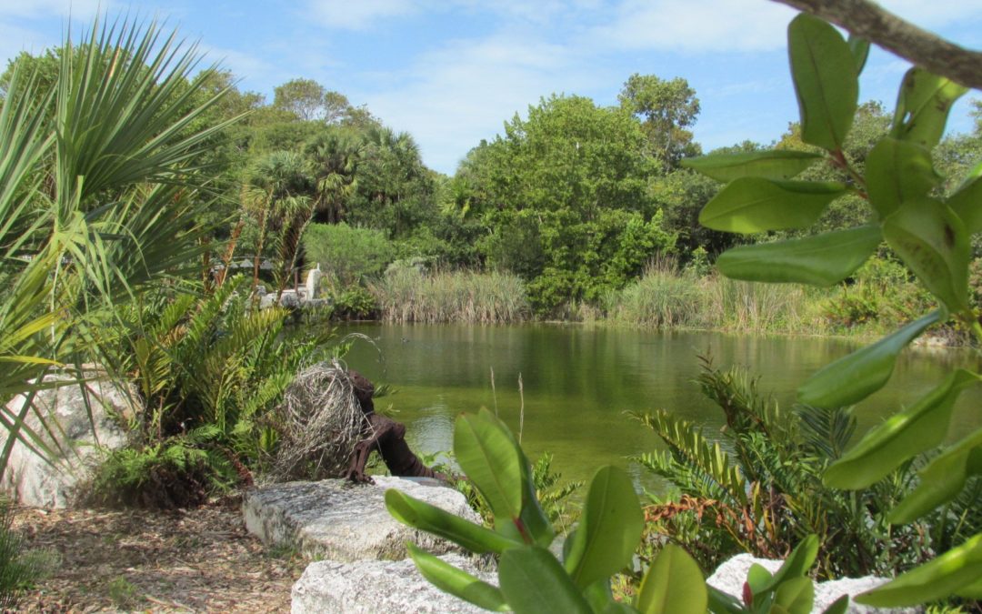 Key West Tropical gardens