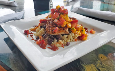 Chipotle Glazed Mahi-Mahi:  The Buzzard’s Roost, Key Largo