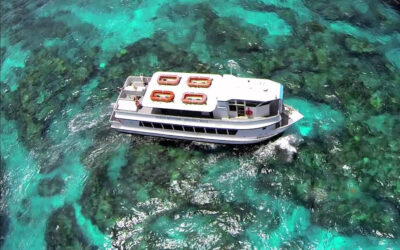 Mask & Fins Not Required– Underwater with The Key Largo Princess