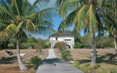 A Walk Into the Past– Lignumvitae Key Takes You Back