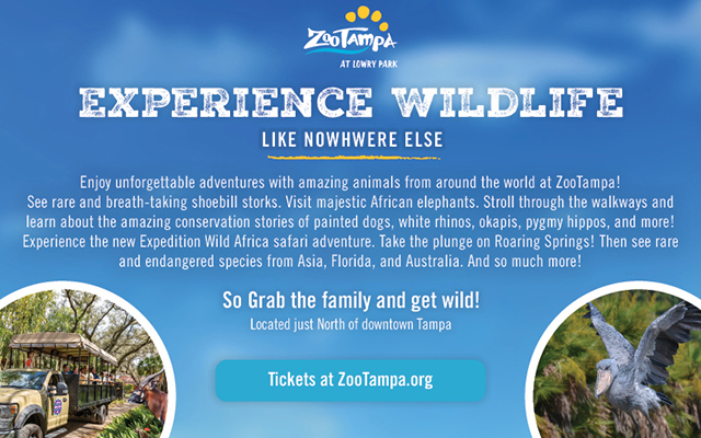 Zoo Tampa web ad Fall 21