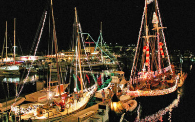 High Seas Holidays — Lighted Boat Parades Celebrate the Season!