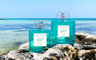 What’s That You’re Wearing? AQUA D’ KEYS  – The Scent of the Keys