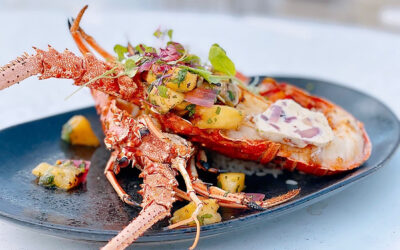 Grilled Florida Lobster with Pineapple Habanero Salsa – From Key Largo’s Sol By The Sea