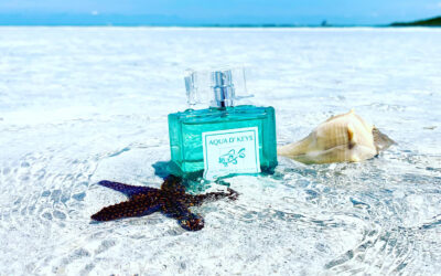 What’s That You’re Wearing? AQUA D’ KEYS – The Scent of the Keys