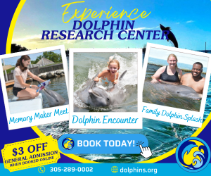 Dolphin Reaserch Ad