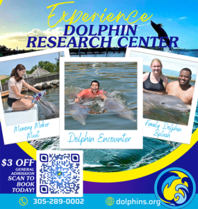 Dolphin Research Ad