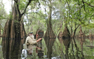 Visions of Florida — The Photographic Art of Clyde Butcher