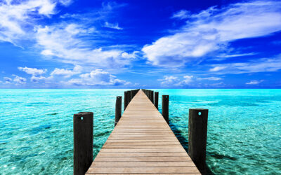 An Endless Journey Trilogy— Award-Winning Photographer, Alan Maltz Takes You Away