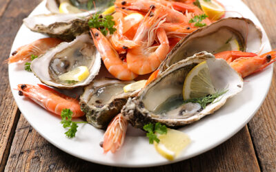 Fresh Catch, Great Music & Tons of Fun The Florida Keys Seafood Festival Casts Off In Key West!